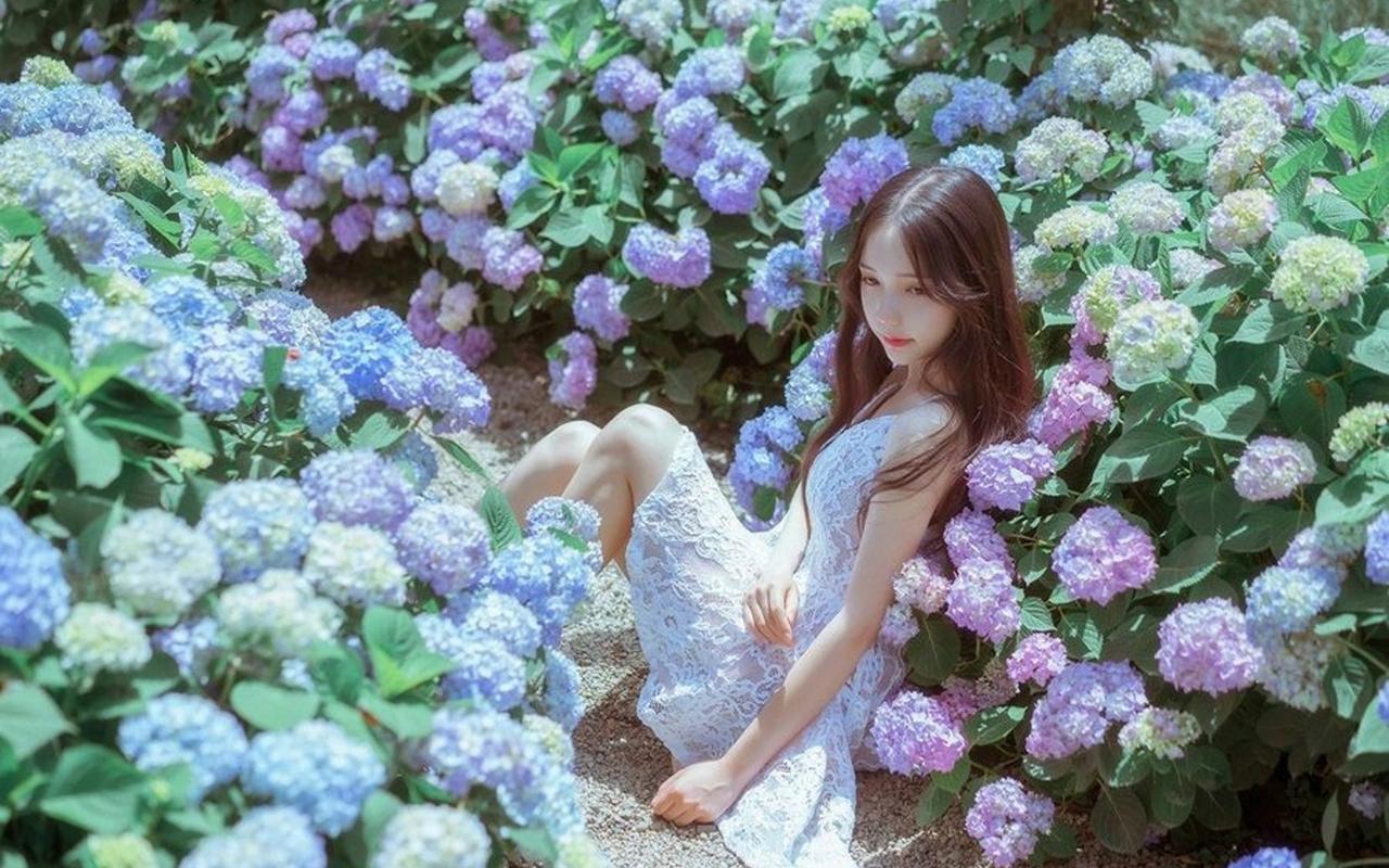 宁夏银川夏收开镰“丰”景如画